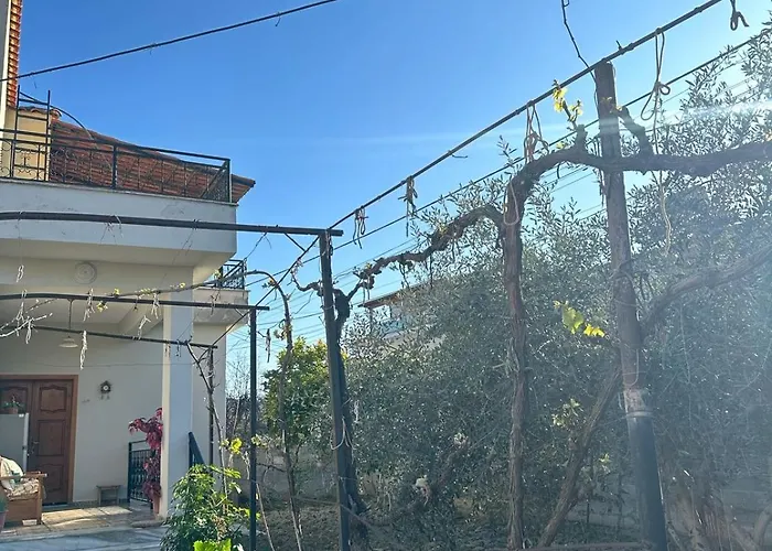 Arber Apartment
